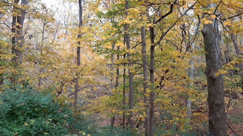 Bruening Park - Cincinnati, OH