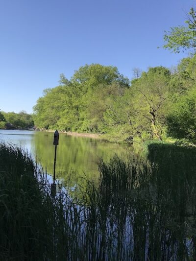 Burnet Woods - Cincinnati, OH