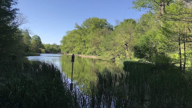 Burnet Woods - Cincinnati, OH