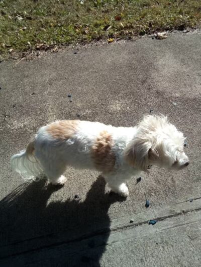 Burwood Park - Cincinnati, OH