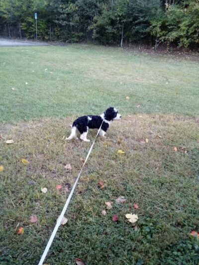 Burwood Park - Cincinnati, OH
