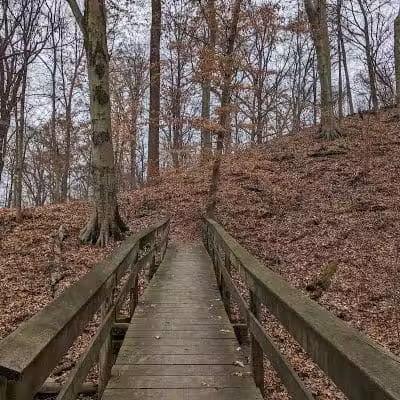Buttercup Valley Preserve - Cincinnati, OH