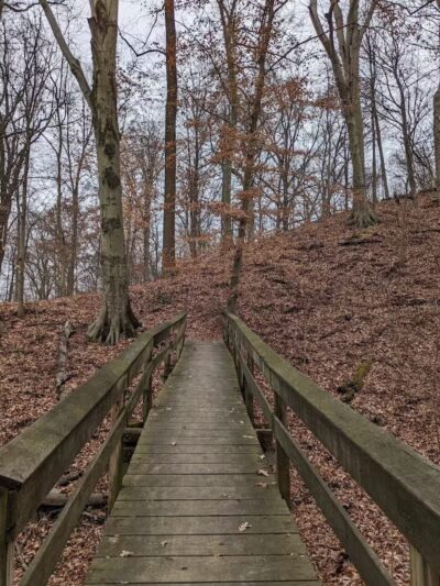 Buttercup Valley Preserve - Cincinnati, OH