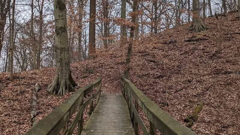 Buttercup Valley Preserve - Cincinnati, OH