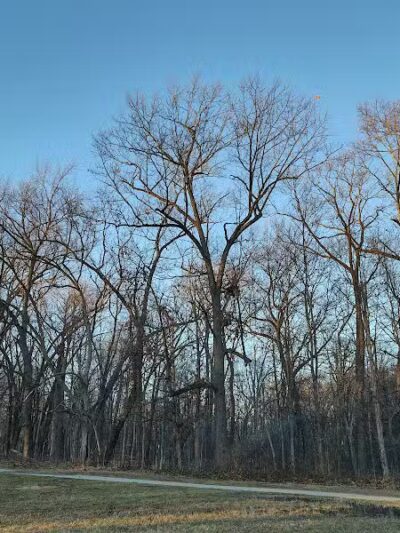 Buttercup Valley Preserve - Cincinnati, OH