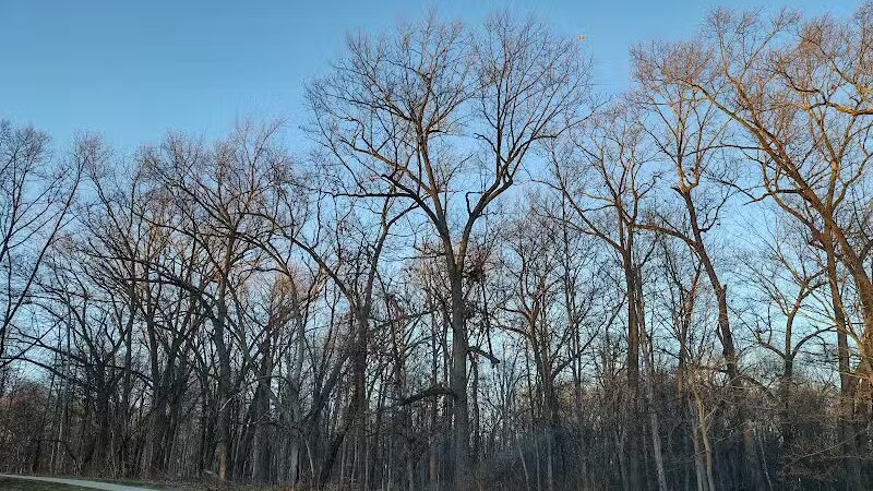Buttercup Valley Preserve - Cincinnati, OH