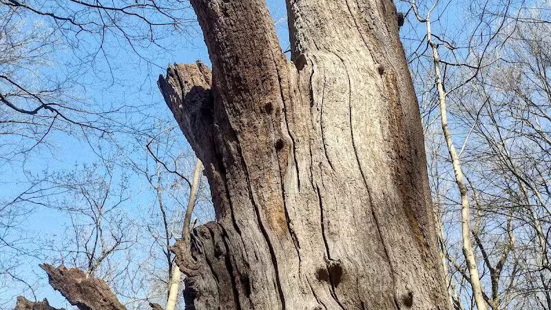 Buttercup Valley Preserve - Cincinnati, OH