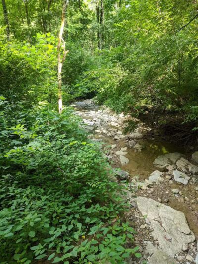 Caldwell Nature Center - Cincinnati, OH