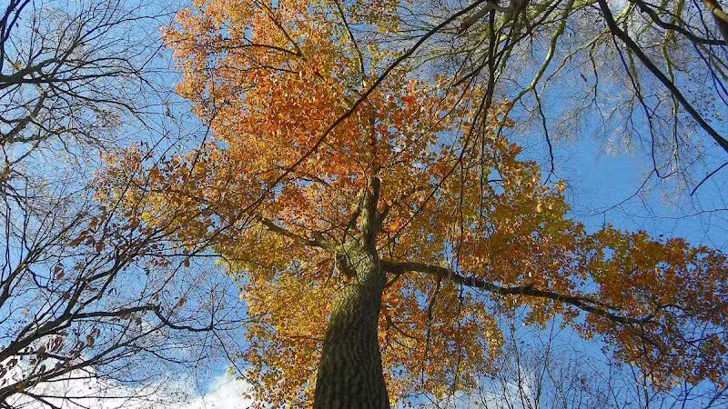 Caldwell Nature Center - Cincinnati, OH