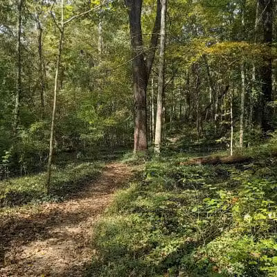 Caldwell Nature Center - Cincinnati, OH