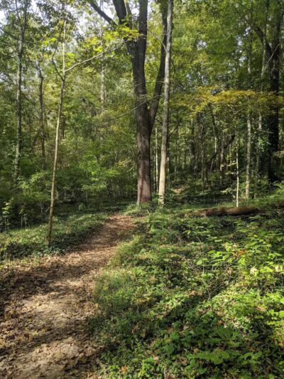 Caldwell Nature Center - Cincinnati, OH