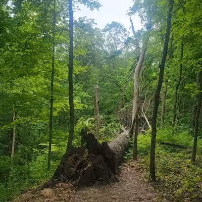 Caldwell Nature Center - Cincinnati, OH