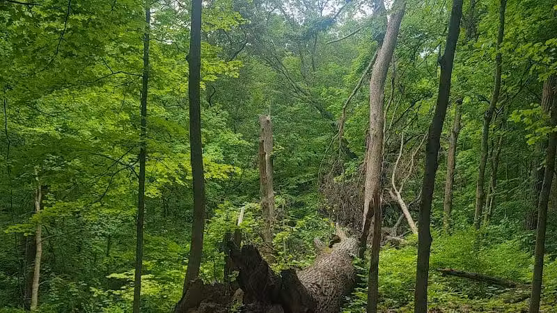 Caldwell Nature Center - Cincinnati, OH