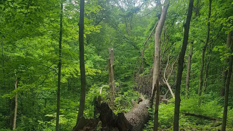 Caldwell Nature Center - Cincinnati, OH