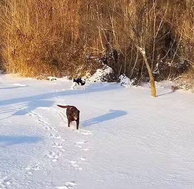 Caldwell Playground - Cincinnati, OH