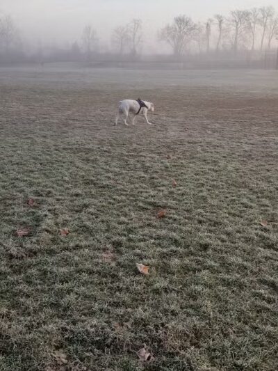 Caldwell Playground - Cincinnati, OH