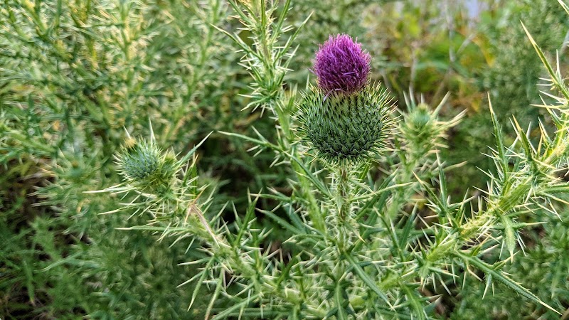 Carson Covedale Park - Cincinnati, OH