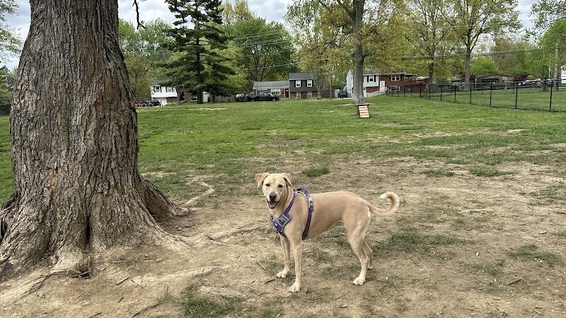 Clepper Dog Park - Cincinnati, OH