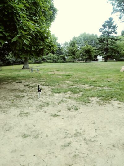 Clepper Dog Park - Cincinnati, OH