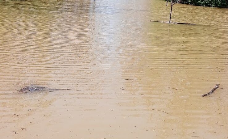 Daniel J. Gilday Recreation Complex - Cincinnati, OH