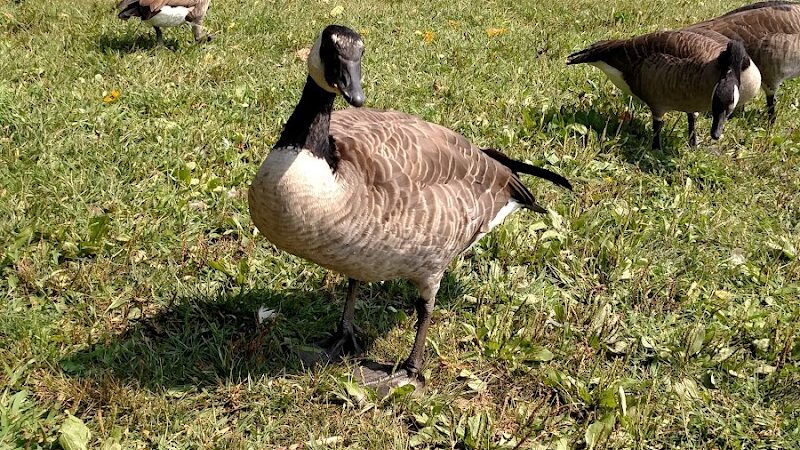 Delhi Park - Cincinnati, OH