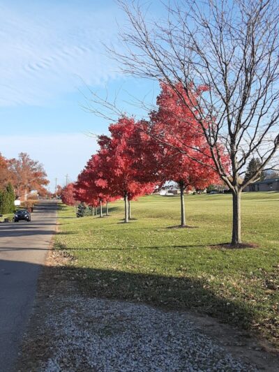 Delhi Park - Cincinnati, OH