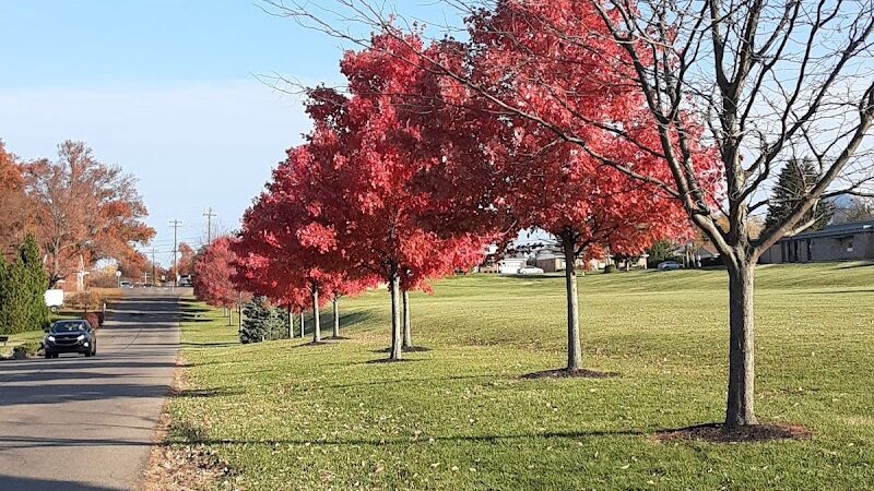 Delhi Park - Cincinnati, OH