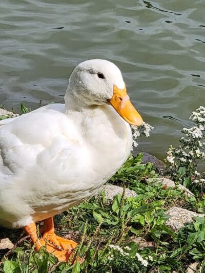 Delhi Park - Cincinnati, OH