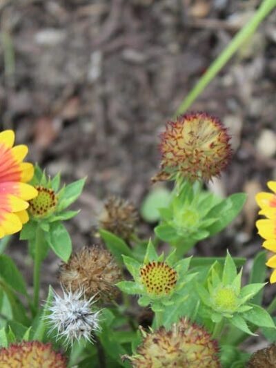 Delhi Park Greenwell Entrance - Cincinnati, OH