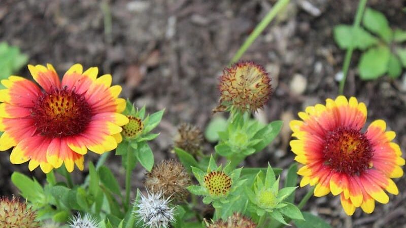 Delhi Park Greenwell Entrance - Cincinnati, OH