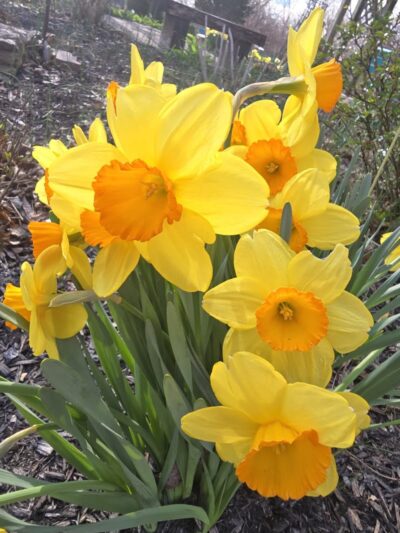 Delhi Park Greenwell Entrance - Cincinnati, OH