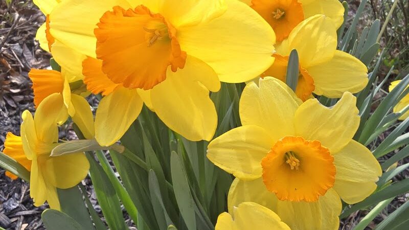 Delhi Park Greenwell Entrance - Cincinnati, OH