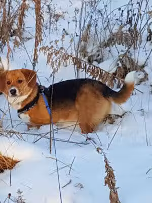 Delhi Park Greenwell Entrance - Cincinnati, OH