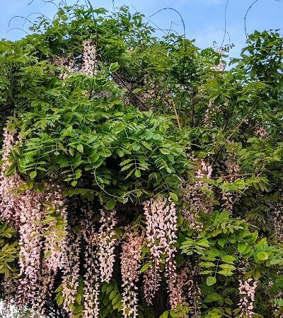 Delhi Park Greenwell Entrance - Cincinnati, OH