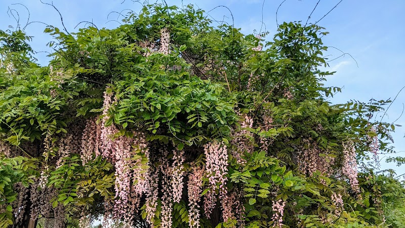Delhi Park Greenwell Entrance - Cincinnati, OH