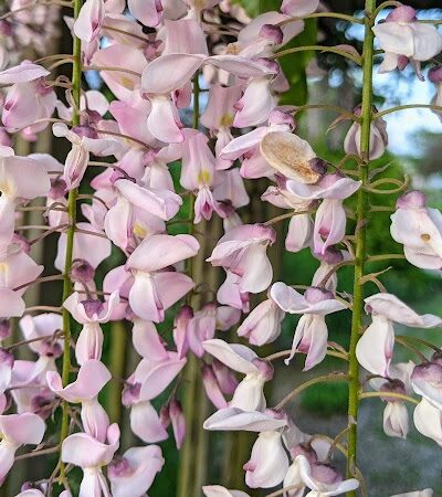 Delhi Park Greenwell Entrance - Cincinnati, OH