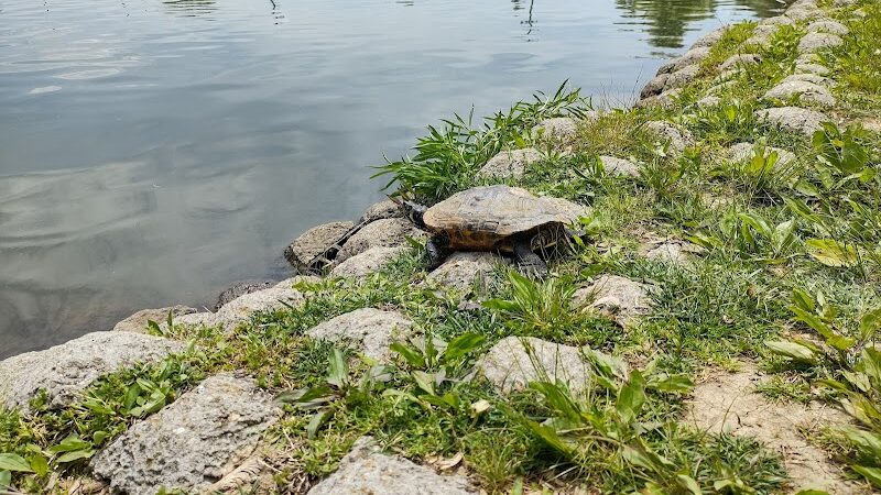 Delhi Park Lake - Cincinnati, OH