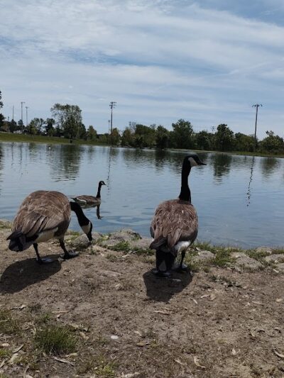 Delhi Park Lake - Cincinnati, OH