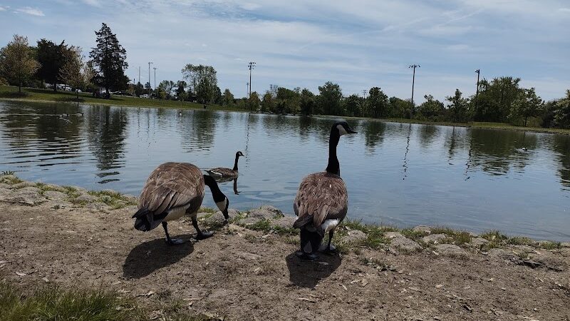 Delhi Park Lake - Cincinnati, OH