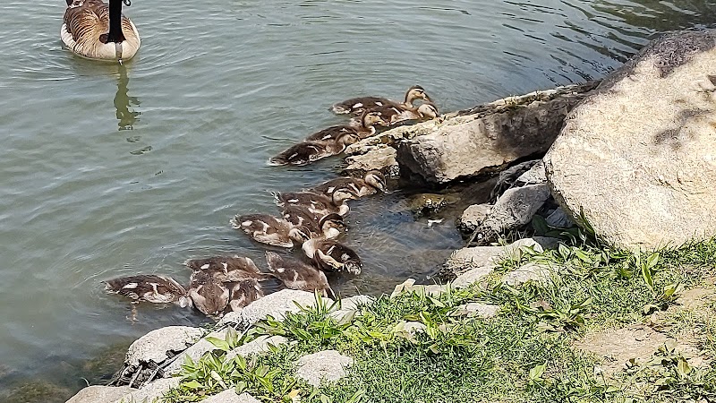 Delhi Park Lake - Cincinnati, OH