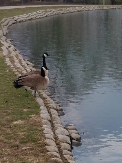 Delhi Park Lake - Cincinnati, OH