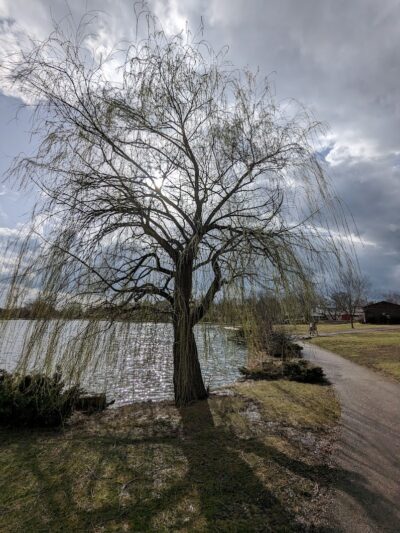 Delhi Park Lake - Cincinnati, OH