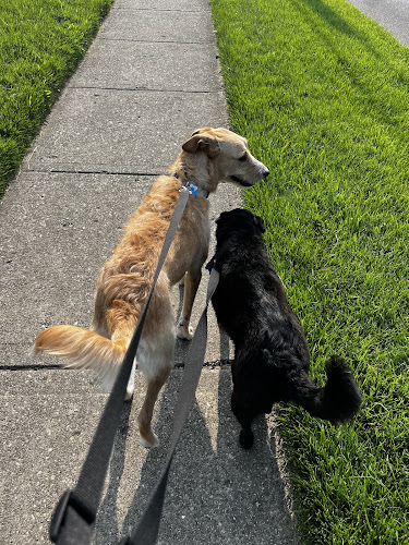 Delhi Park Lake - Cincinnati, OH