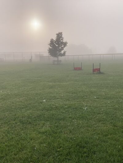 Diamond Dogs Dog Park - Cincinnati, OH