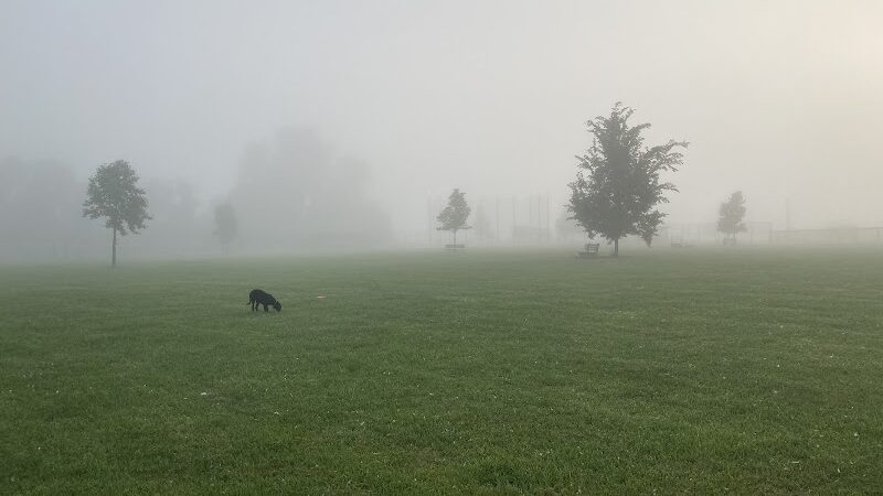 Diamond Dogs Dog Park - Cincinnati, OH