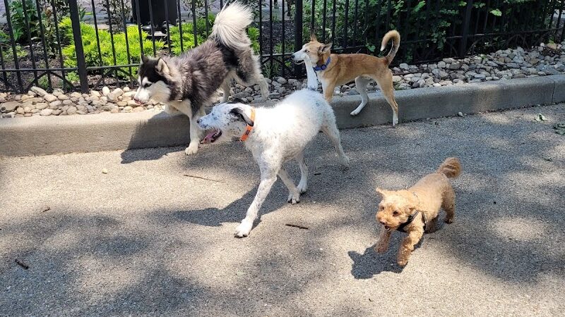 Dog Park at Washington Park - Cincinnati, OH