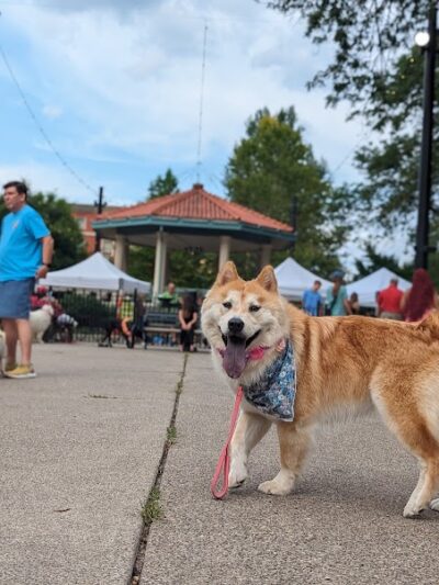 Dog Park at Washington Park - Cincinnati, OH