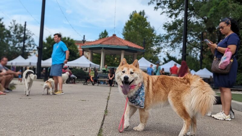 Dog Park at Washington Park - Cincinnati, OH