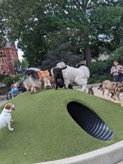 Dog Park at Washington Park - Cincinnati, OH