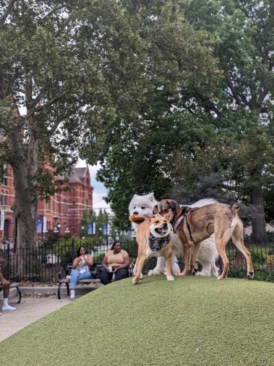 Dog Park at Washington Park - Cincinnati, OH
